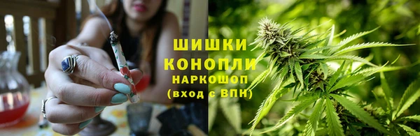 дурь Алзамай