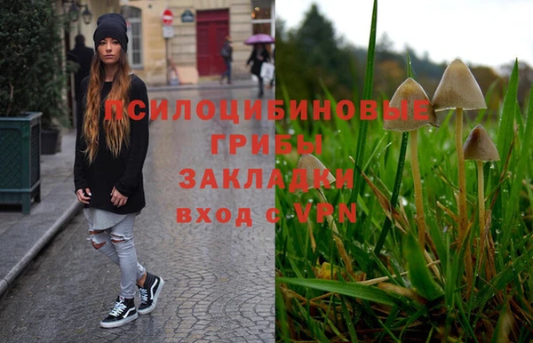 мескалин Алексин