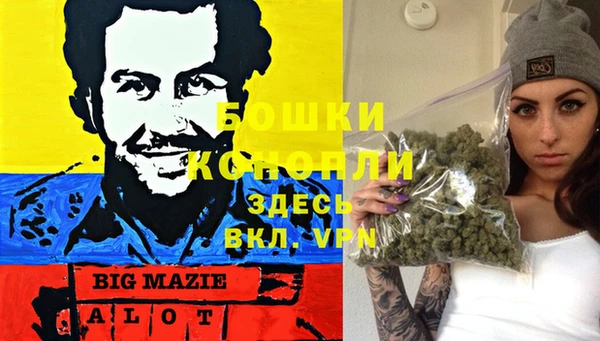 дурь Алзамай