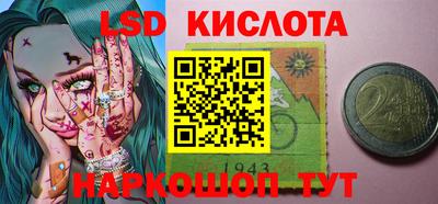индика Гагарин