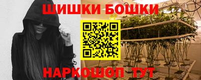 СК Гай