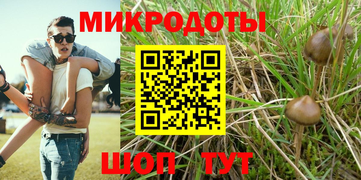 Псилоцибиновые грибы мухоморы Лабинск